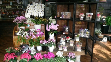 「花パレット」　（岐阜県郡上市）の花屋店舗写真3